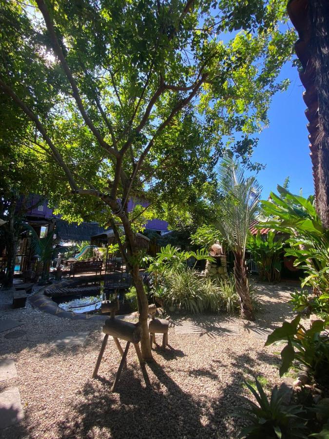 Pousada Papaya Container Ubatuba Εξωτερικό φωτογραφία